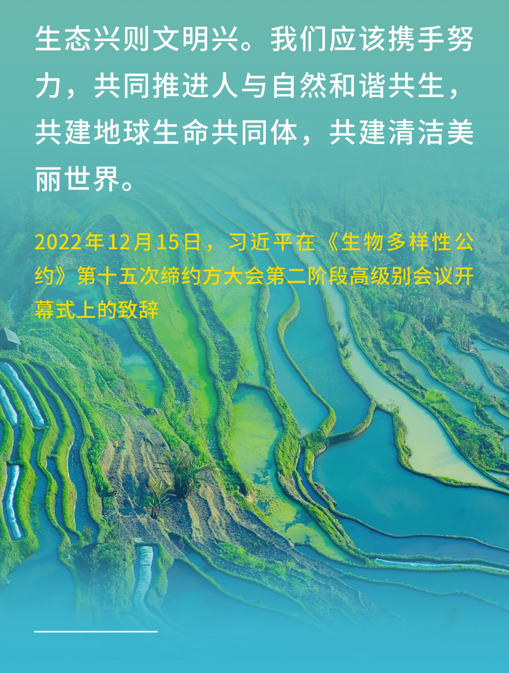 微信图片_20250501142215.png